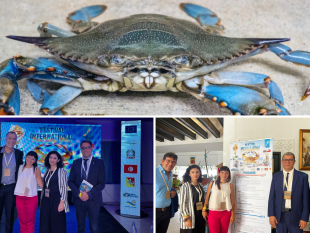 trapani/il-distretto-della-pesca-in-missione-in-tunisia-per-il-progetto-bleu-adapt