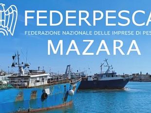 gambero-rosso-nel-canale-di-sicilia-federpesca-riunisce-a-mazara-del-vallo-marineria-e-istituzioni