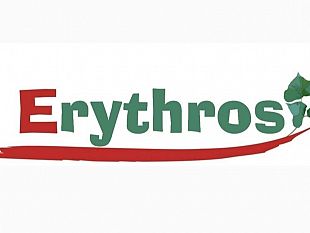 trapani-incendi-boschivi-erythros-chiede-politiche-di-prevenzione-piu-incisive-a-tutela-del-territorio