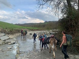 pantelleria-a-reggio-emilia-per-acquisire-il-modello-di-relazione-con-gli-asini-per-una-nuova-offerta-turistica