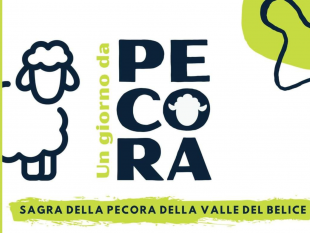 belice/santa-ninfa-ritorna-la-sagra-della-pecora-della-valle-del-belice