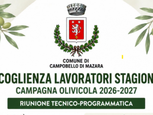 campagna-olivicola-20262027-appello-del-sindaco-agli-imprenditori-agricoli-di-campobello