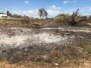 tonnarella-forte-puzza-di-rifiuti-bruciati-nella-notte-avvertita-da-residenti