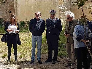 mazara-cristaldi-l-area-esterna-del-corridoni-diventera-sala-lettura-a-cielo-aperto-e-luogo-per-eventi-culturali