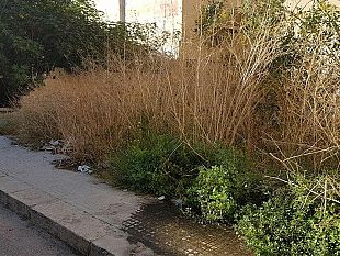 video-mazara-spreco-d-acqua-da-mesi-sorgente-in-via-severino-nessuno-interviene