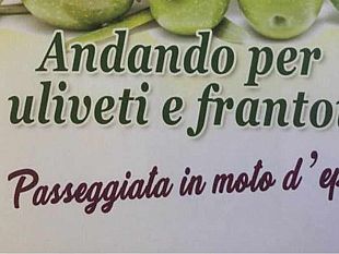 passeggiata-in-moto-depoca-andando-per-uliveti-e-frantoi-domenica-28-ottobre-a-campobello