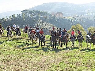 un-raduno-equestre-nel-cuore-di-segesta