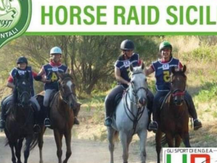sambuca-campionato-regionale-horse-raid-sicilia