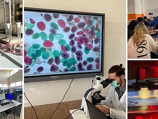 la-dirigente-dellis-r-daltavilla-replica-allarticolo-del-29-novembre