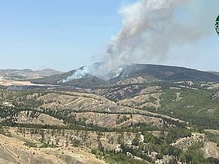 giornata-di-fuoco-in-sicilia-83-roghi-in-tutto-il-territorio