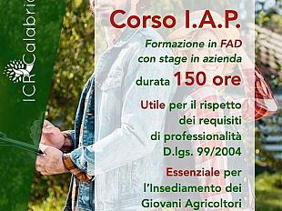 lavoro-e-concorsi2