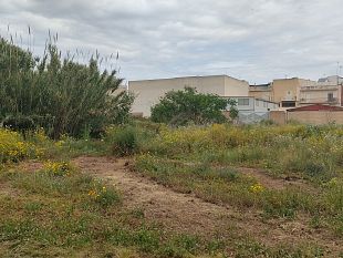 mazara-degrado-nella-zona-di-via-casa-santa-le-segnalazioni-dei-cittadini