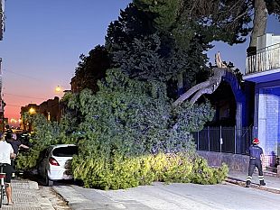 paceco-crollo-al-giardino-della-legalita