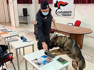 partanna-controlli-antidroga-nella-scuola-gli-studenti-passano-lesame