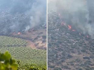 incendi-nel-trapanese-fiamme-da-valderice-a-buseto-palizzolo