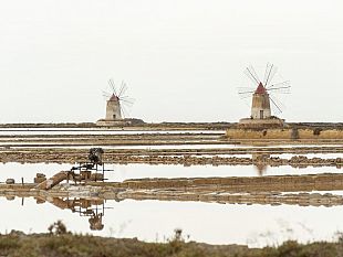 marsala-stagnone-il-sale-marino-verso-il-riconoscimento-agricolo-e-la-candidatura-a-riserva-unesco