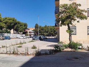 mazara-alta-vegetazione-selvaggia-in-via-potenza-e-strade-adiacenti