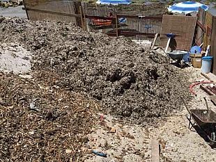 mazara-sanzionato-lido-per-aver-utilizzato-pala-meccanica-sulla-spiaggia-alla-presenza-di-bagnanti