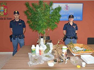 arrestato-mazarese-per-coltivazione-di-marijuana