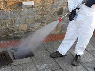 trapani-programmati-interventi-di-disinfestazione-in-zone-segnalate