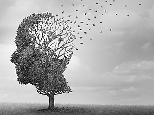 una-punta-di-sal-la-memoria-la-politica-la-morale-nel-frattempo-oggi-si-vota-per-le-provinciali-di-ii-livello