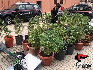 trapani/pantelleria-coltivazione-autindoor-arrestato-isolano-dal-pollice-verde