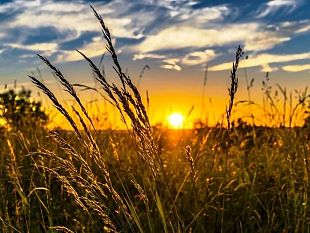 ultime-della-sera-il-solstizio-destate