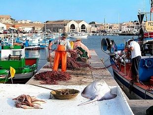 favignana-area-marina-protetta-e-associazioni-di-pesca-scrivono-al-ministero-chiedendo-un-autorizzazione-per-la-pesca-sperimentale-con-il-tartarune-delle-egadi