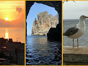 marettimo-quasi-il-convegno-delle-tre-parole-a-marettimo-generativita-contaminazione-connettivita