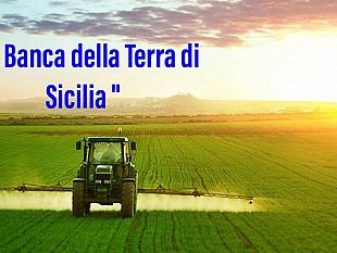 giovani-agricoltori-pronti-a-investire-grazie-alla-banca-della-terra-di-sicilia