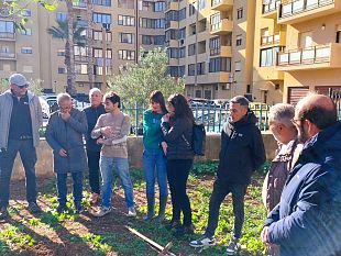 trapani-alberi-per-il-futuro-piantato-un-albero-in-ricordo-del-piccolo-alessandro