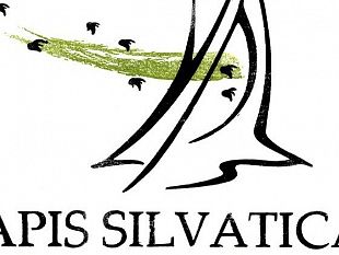 pantelleria-apis-selvatica-dal-16-al-20-maggio-primo-meeting-internazionale