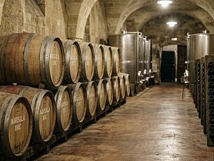 enoturismo-a-marsala-cinque-cantine-storiche-chiamano-a-raccolta-i-candidati-sindaco