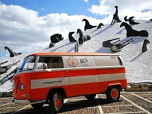 in-viaggio-tra-i-filari-nella-rete-museale-e-naturale-belicina