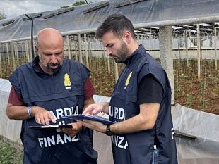 petrosino-e-marsala-scoperti-15-lavoratori-in-nero-e-4-irregolari-nel-settore-agricolo