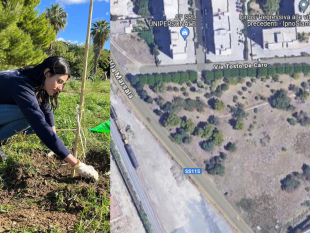 verde-pubblico-a-trapani-ciminnisi-m5s-scrive-al-sindaco-e-chiede-la-manutenzione-del-boschetto-di-via-salemi