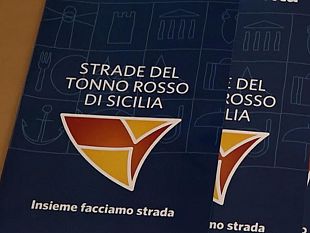 video-presentazione-del-progetto-strade-del-tonno-rosso-di-sicilia