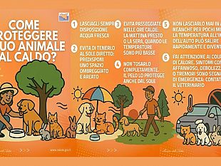 caldo-lasp-trapani-lancia-le-linee-guida-per-proteggere-gli-animali-dalle-alte-temperature