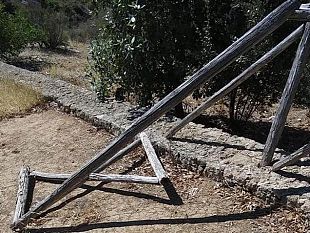 mazara-interrogazione-dei-consiglieri-gaiazzo-e-bonanno-sul-degrado-del-giardino-degli-emiri-di-miragliano