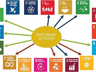 ultime-della-sera-bioeconomy-e-smart-citizens