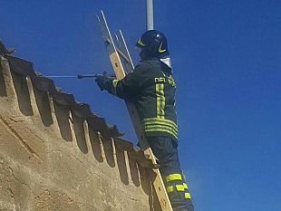 petrosino-incendio-doloso-nei-magazzini-di-proprieta-della-famiglia-d-alberti-il-candidato-sindaco-non-ci-lasciamo-intimidire-e-continuiamo-a-testa-alta