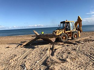castellammare-46-cittadini-con-difficolta-economiche-al-lavoro-per-ripulire-spiagge-e-aree-urbane