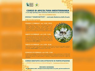 a-pantelleria-un-corso-gratuito-di-apicoltura