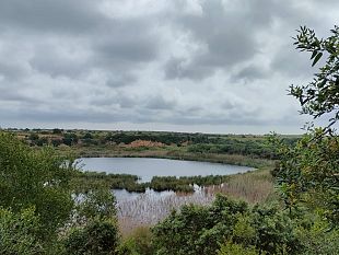 una-punta-di-sal-una-gita-fuori-porta-lago-preola-e-gorghi-tondi