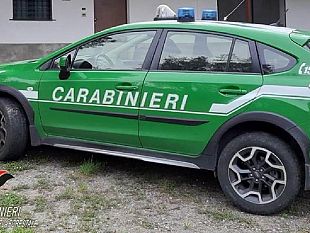 belice/pantelleria-controlli-sulle-attivita-edilizie-in-aree-protette
