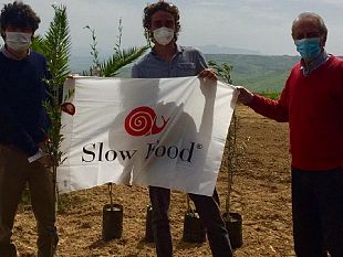 castelvetrano/slow-food-premia-quattro-giovani