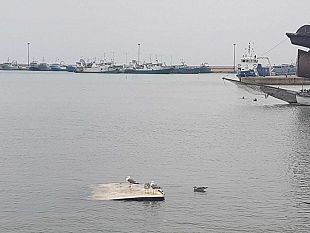 mazara-porto-canale-base-di-atterraggio-per-i-gabbiani-novita-in-arrivo-per-il-dragaggio