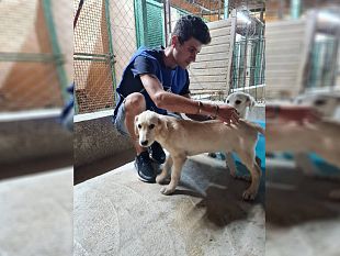 oipa-trapani-successo-per-il-progetto-proteggiamoli