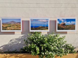 erice-il-paesaggio-collinare-rivive-nelle-foto-al-giardino-degli-aromi