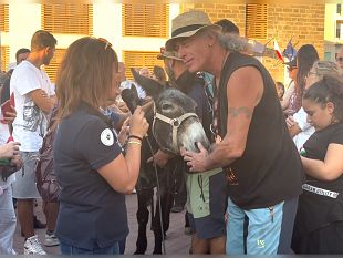 concluso-con-grande-successo-il-primo-festival-asinabile-a-pantelleria